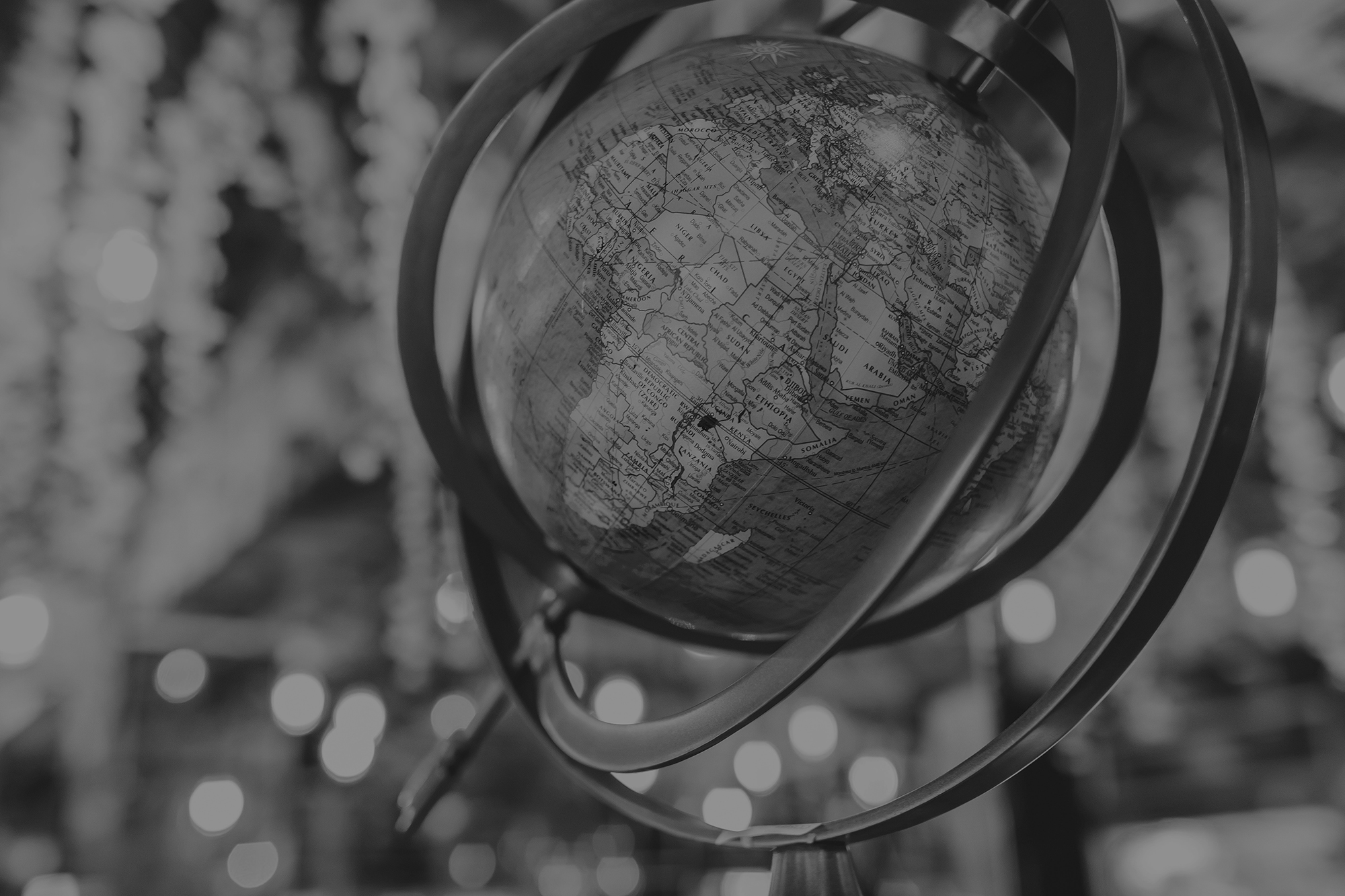 Bespoke programs for organisations worldwide